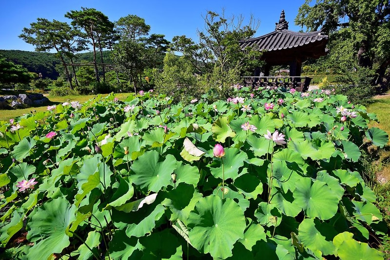 홍길동테마파크 야영장 시설 사진 15