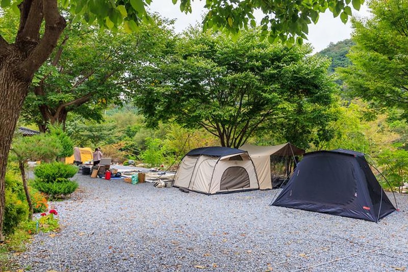 꽃댕이오토캠핑장 대표 사진