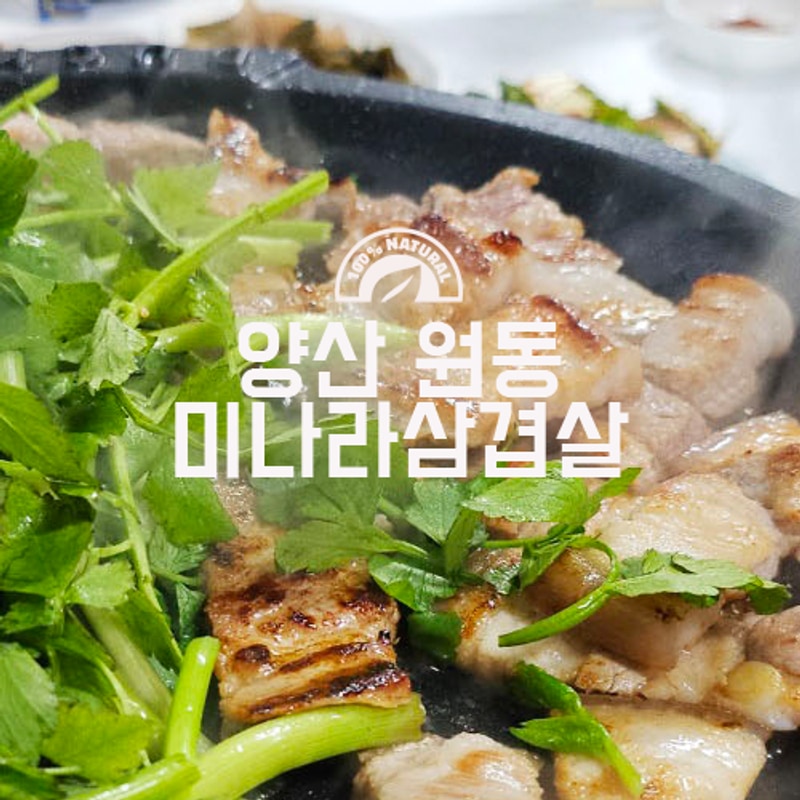 양산 원동 미나리 삼겹살 맛집 캠프라임 식당에서 먹고 왔어요!