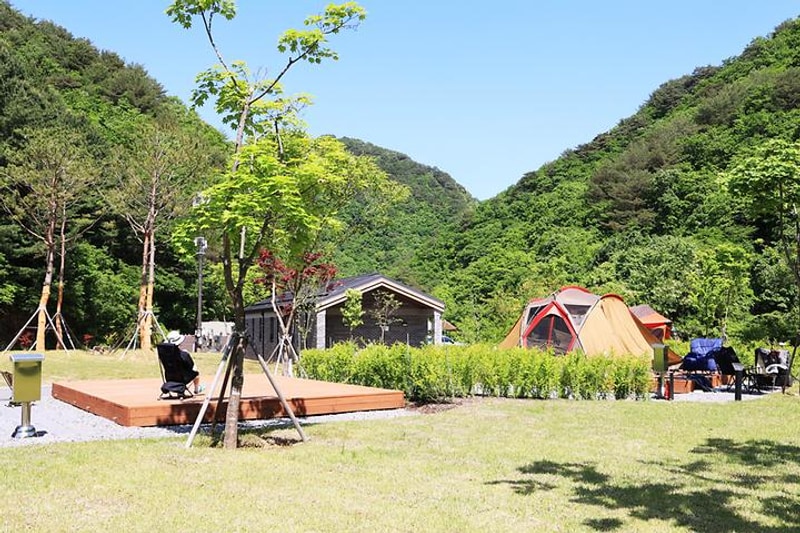 갯골자연휴양림 야영장 대표 사진
