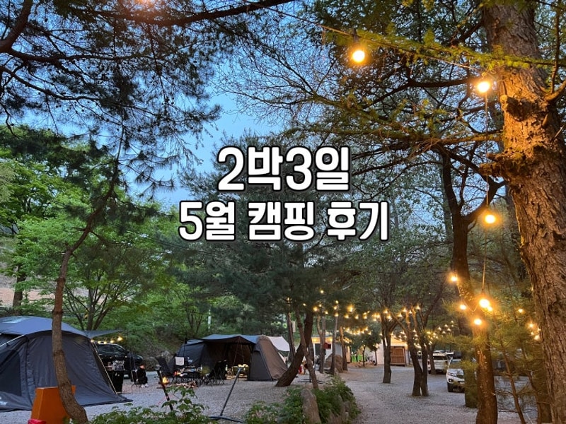 영월 느티나무 캠핑장 2박 3일 5월 계곡 캠핑 후기