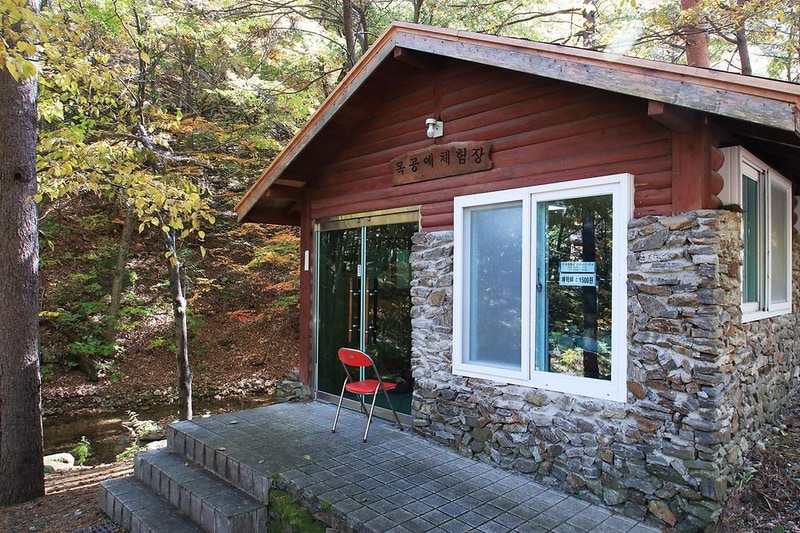 통고산 자연휴양림야영장 시설 사진 7