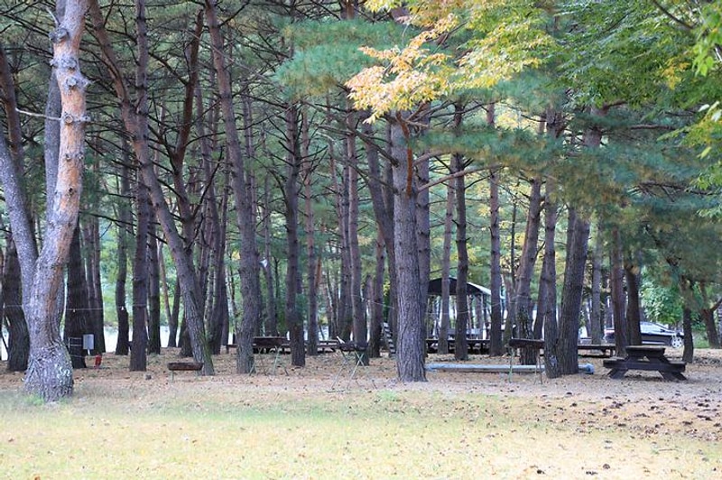진부(오대산)관광농원 대표 사진