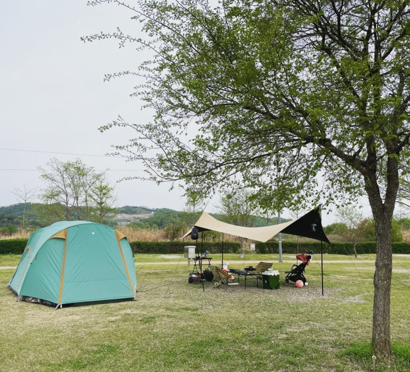 여주 이포보 웰빙 캠핑장