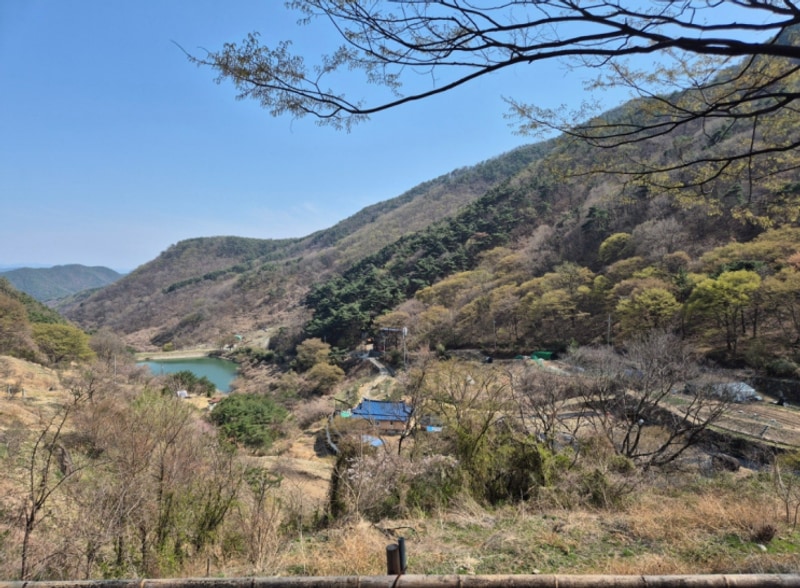 [밀양 서당골캠핑장] 지야의 일곱번째 캠핑일기