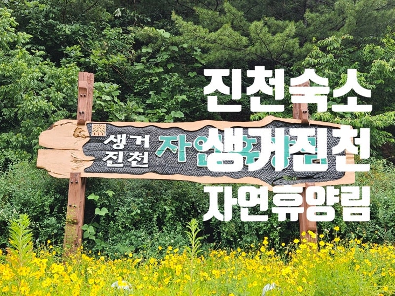 진천숙소 추천, 생거진천자연휴양림과 숲속야영장