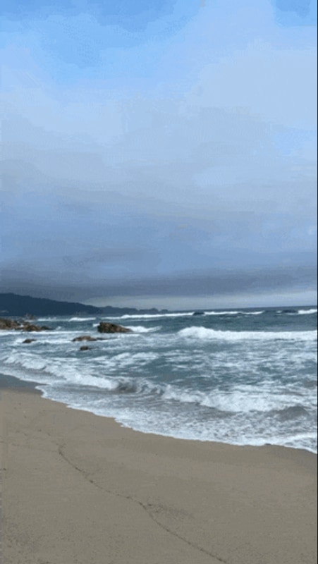 바다 뷰 맛집![삼척 문암해변 캠핑장](예약방법/사이트추천)...