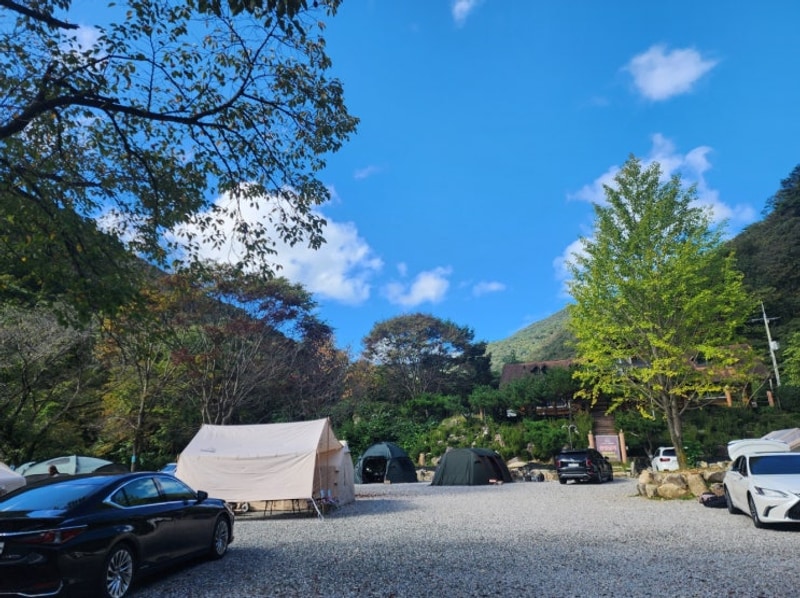 캠프더쉼 - 완주 키즈 캠피장/ 산 풍경 강추