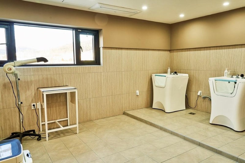 일랑일랑 애견캠핑 앤 카라반 시설 사진 6