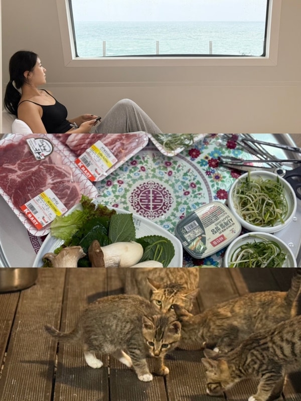 경주카라반 경주펜션 감포카라반 감포펜션 뷰델카라반펜션