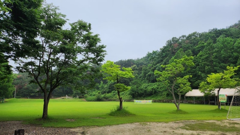 서울근교 감성캠핑 가능한 경기도 캠핑장 캠프여주(여주관광농...