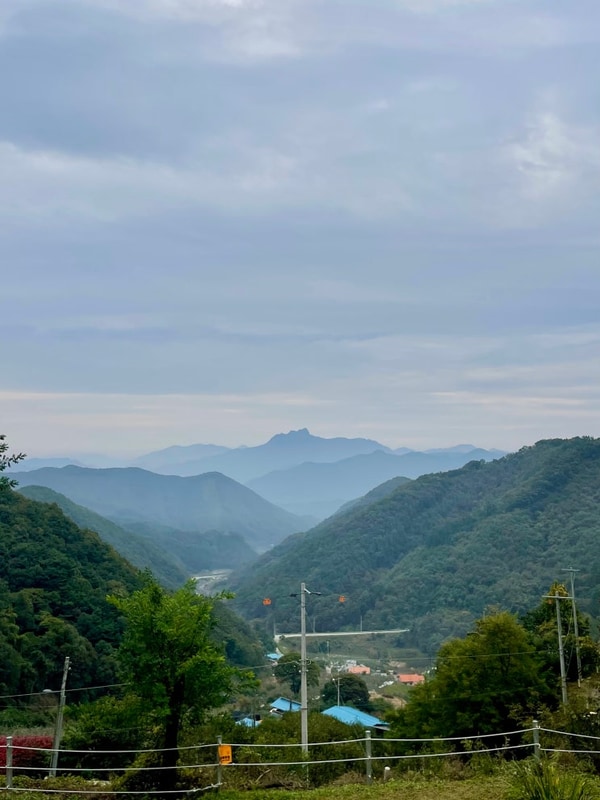 20251024 충주 재오개 캠핑장