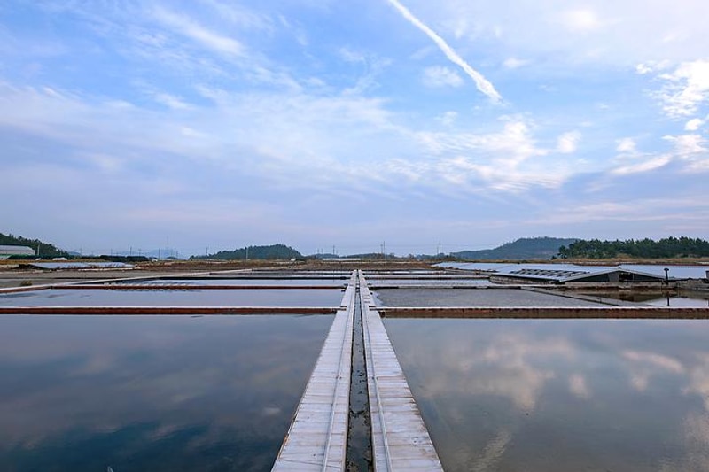 (주)태평소금 천일염 힐링캠프 대표 사진