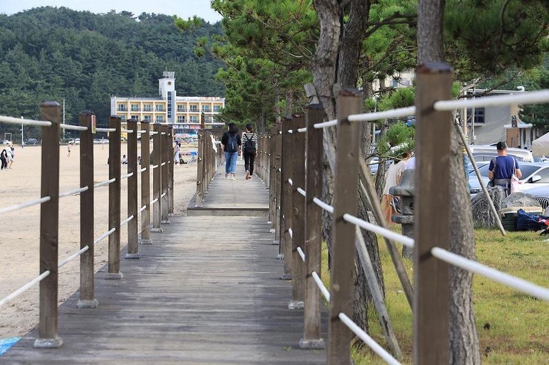 하조대캠핑카 시설 사진 1