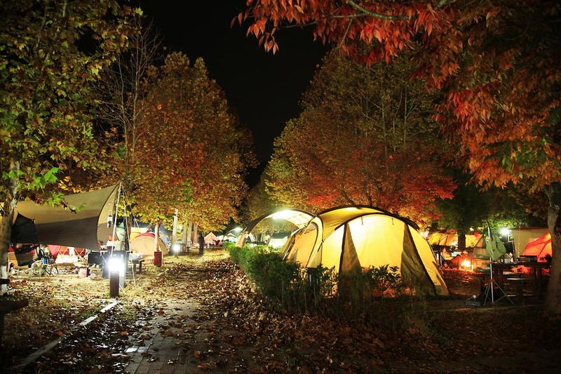 주왕산국립공원 상의자동차 야영장 시설 사진 9