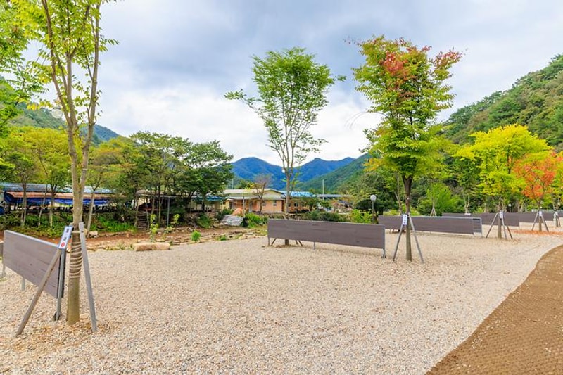신월리 오토캠핑장 대표 사진