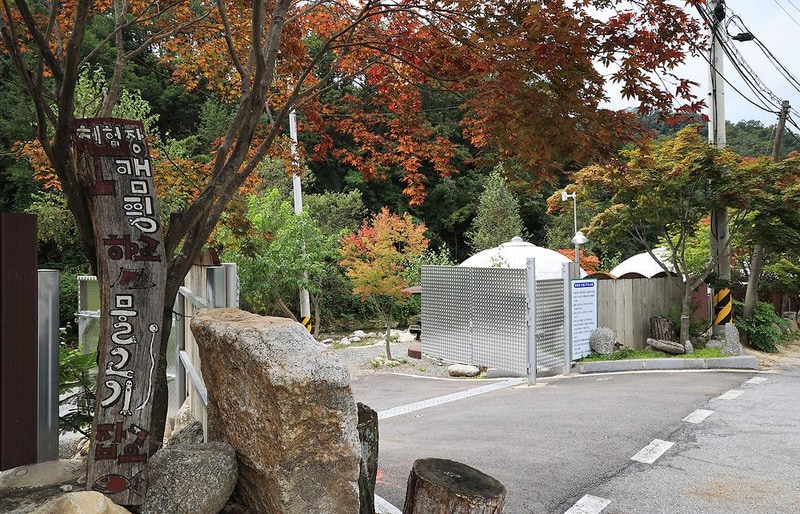 메기의 추억 시설 사진 4