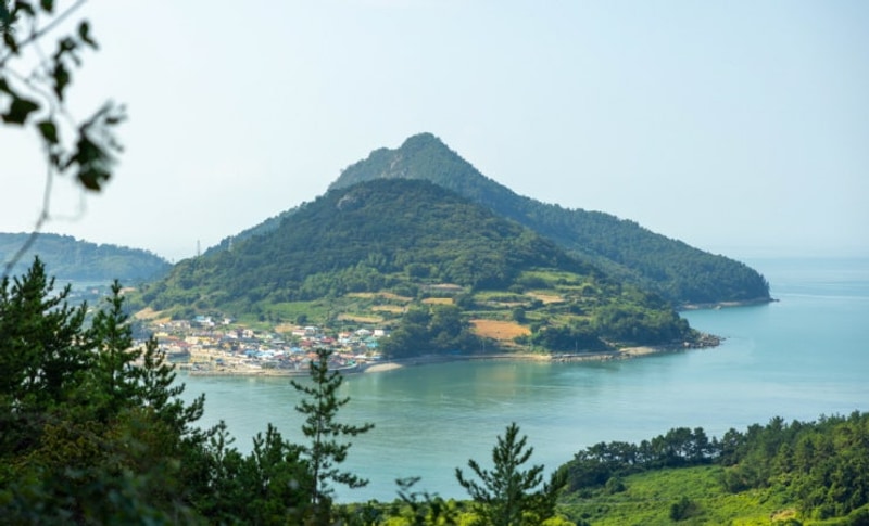 피톤치드 전남카라반 자연과 함께 전망 좋은 우주선캠프 힐링...