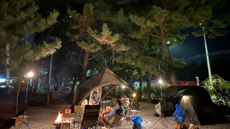 [충남/태안] 몽산포패밀리데이캠핑장 | 해루질이 가능한 캠핑장...