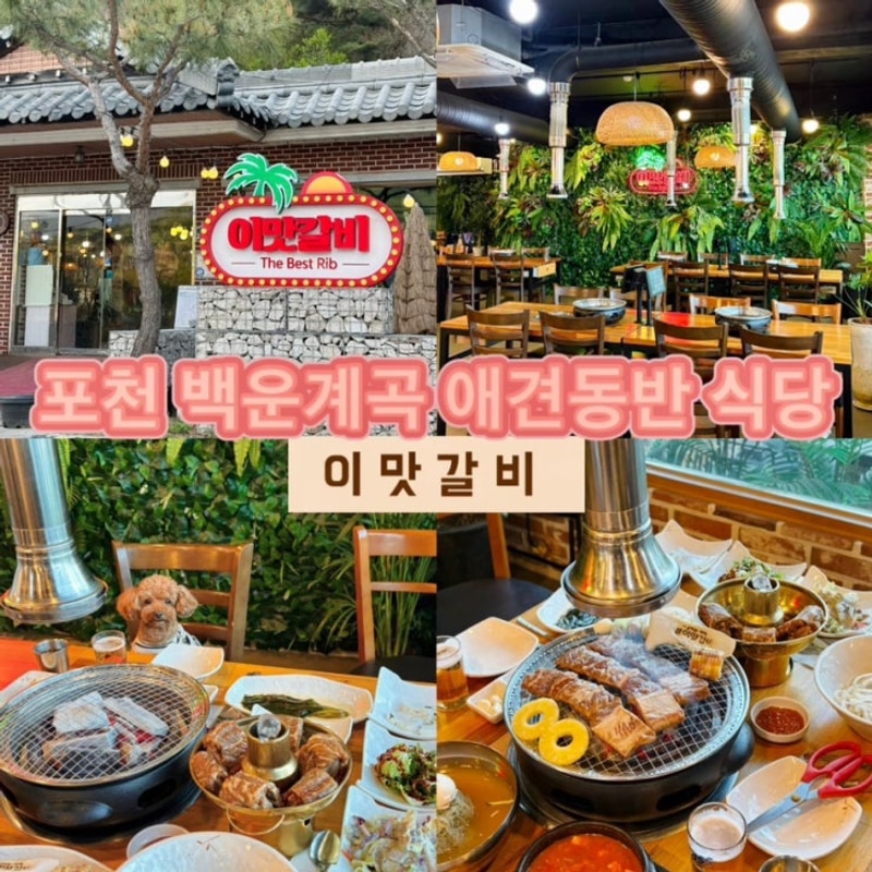 경기/포천 쏘쿨이네글램핑*포천애견글램핑 가성비 100% 만족