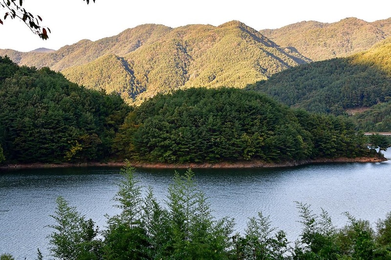 힐링파크 시설 사진 1