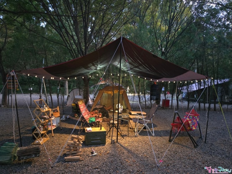 고양 캠핑장 파주 기산캠프 애견동반 2박3일