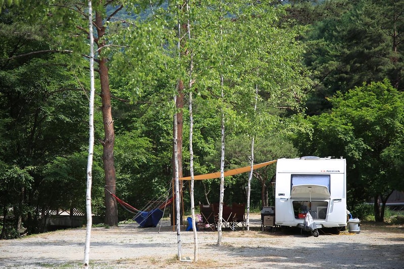 용골송어와 캠핑 시설 사진 8