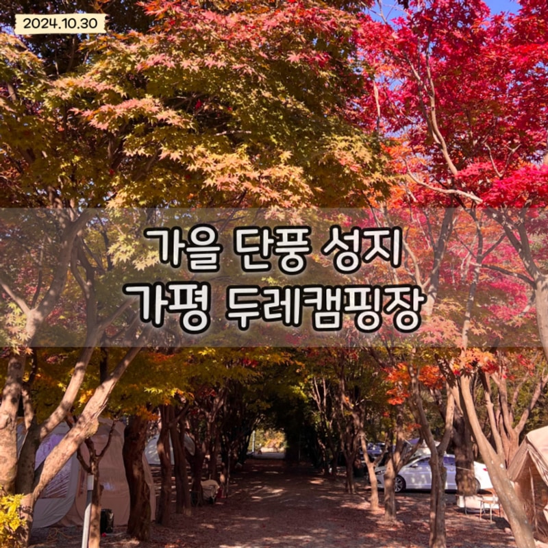 가평 두레캠핑장 서울근교 가을 단풍명소 애견동반 가능