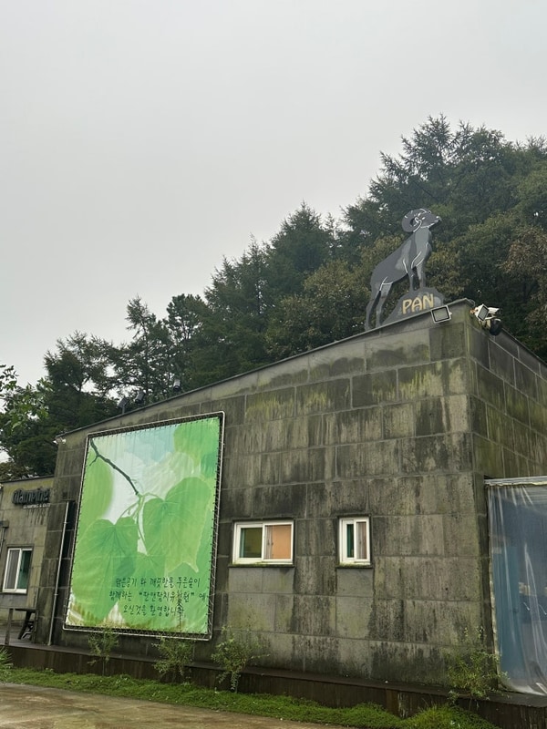 부여 캠핑장 내돈내산 연휴에 힐링하고 온 판앤팜치유정원