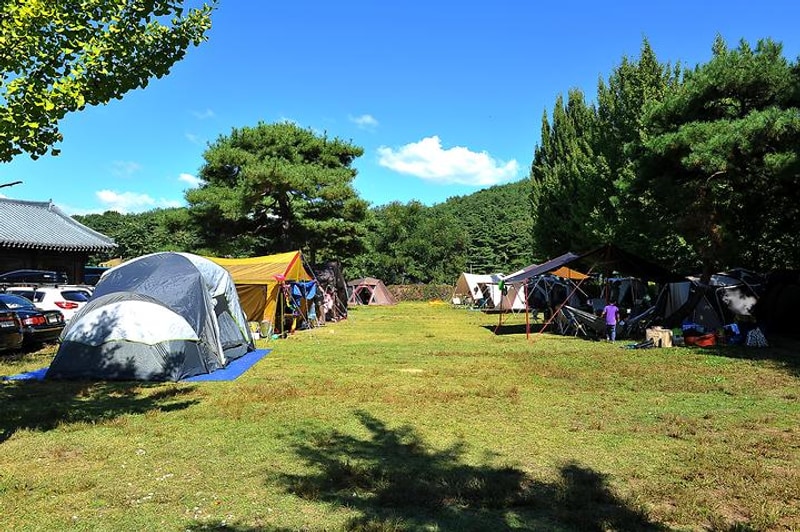 아이에프에이 캠프운악 대표 사진