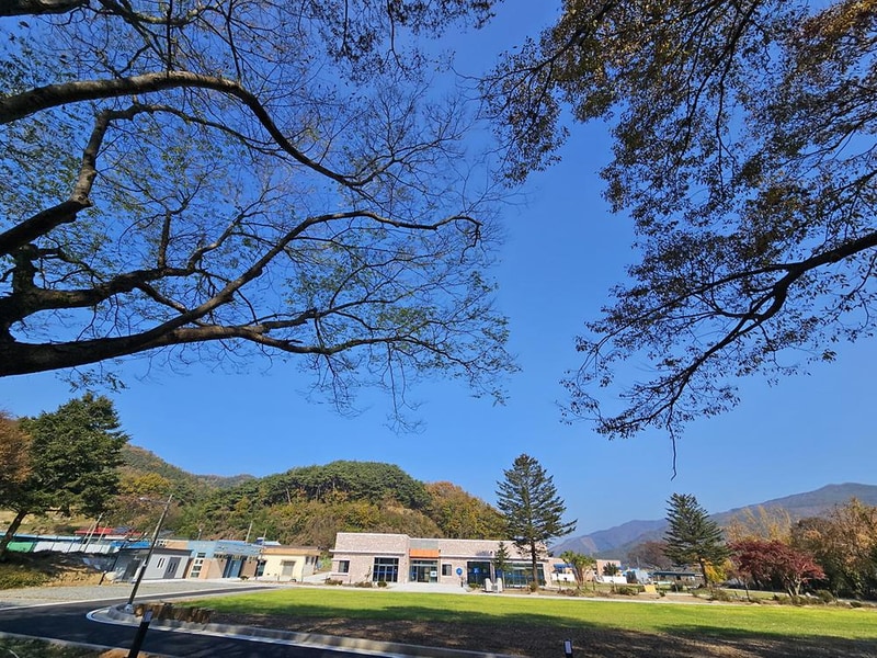 선돌느티나무캠핑마을 영농조합법인 시설 사진 7