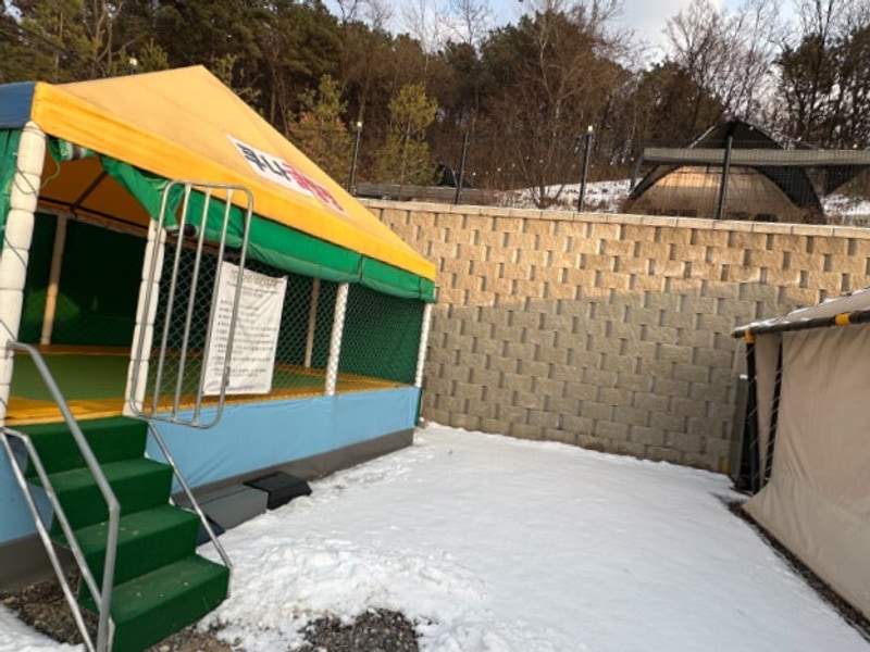 반려동물과 함께 즐기는 장소 포천글램핑 쿠나글램핑