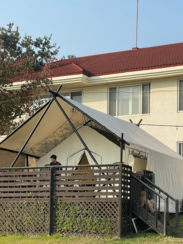 골드펫리조트 용인 애견동반 글램핑 내돈내산