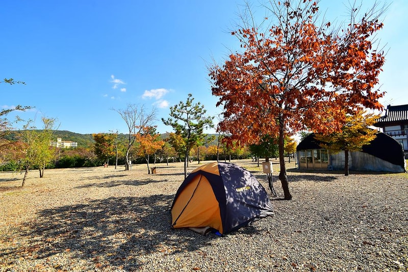 경주초우오토캠핑장 시설 사진 12