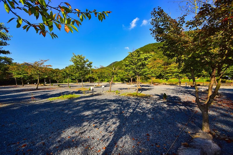 I go 오토캠핑장 시설 사진 3