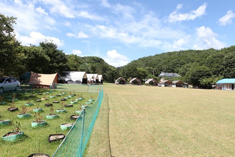 넓은마당캠핑장 시설 사진 11