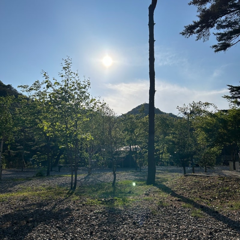 강원도 캠핑_양양 오색산새소리캠핑장