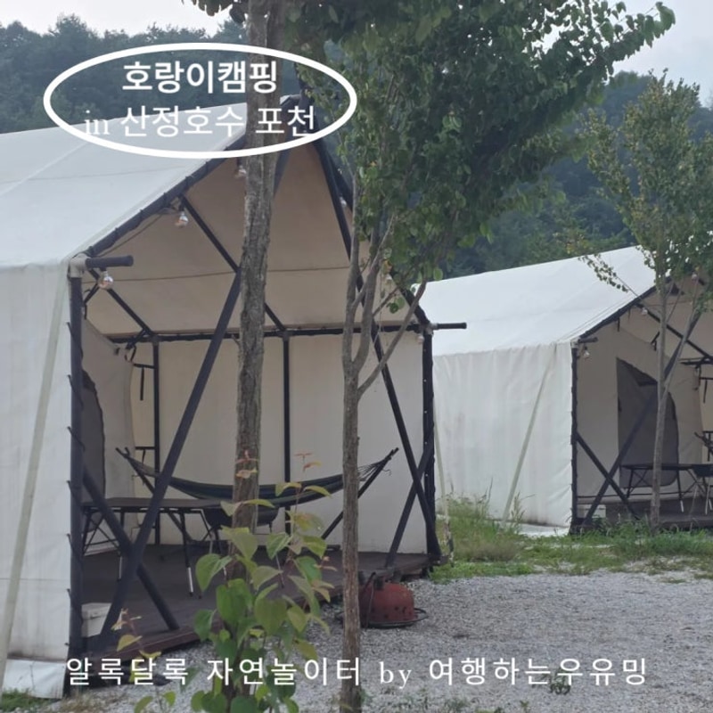 호랑이캠핑 포천 산정호수점, 가성비 좋은 가족단위 캠핑!