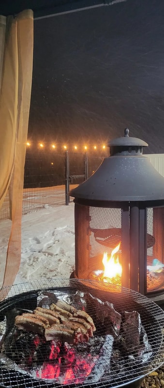 청주 근교 카라반 캠핑장 애견 동반 가능 내수초정 힐링 캠핑장