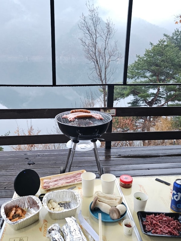 충주 벚꽃 개화상태 충주호캠핑월드 글램핑 1박 솔직후기