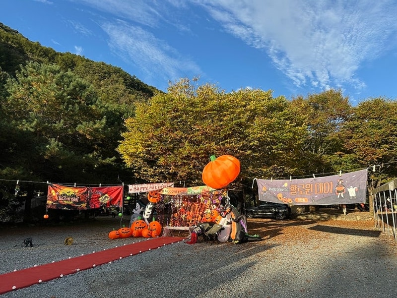 2025년 할로윈캠핑 두 번째 방문 강원도 영월 뜨란솔 캠핑장...