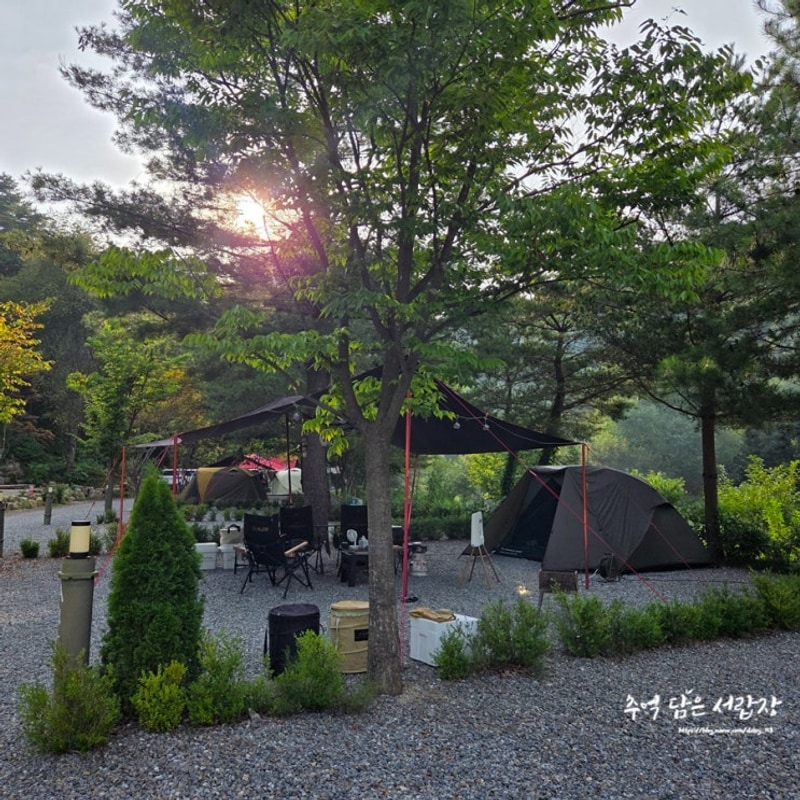 영월 깨끗하고 관리되는 캠핑장 캠프우든브릿지 3박 4일(feat....