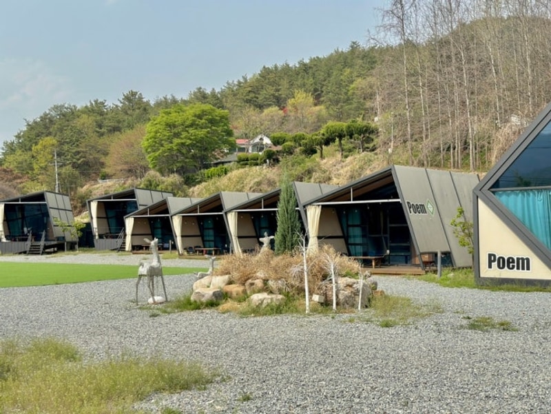 청도가볼만한곳 숙소 청도글램핑 후기 글램핑포엠