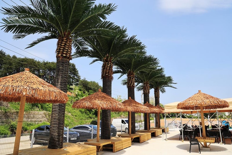 템플 온더 비치 시설 사진 20