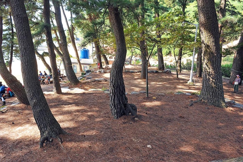 사촌해수욕장야영장 시설 사진 5