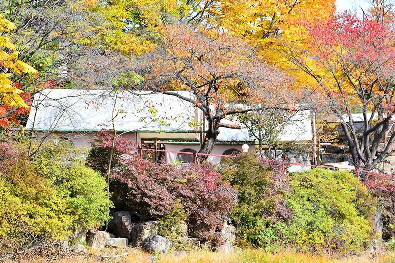 용수 그린랜드 시설 사진 15