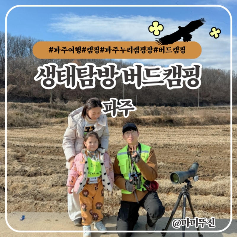 경기도 파주 가볼만한곳 평화누리캠핑장 버드캠핑 카라반존 후기