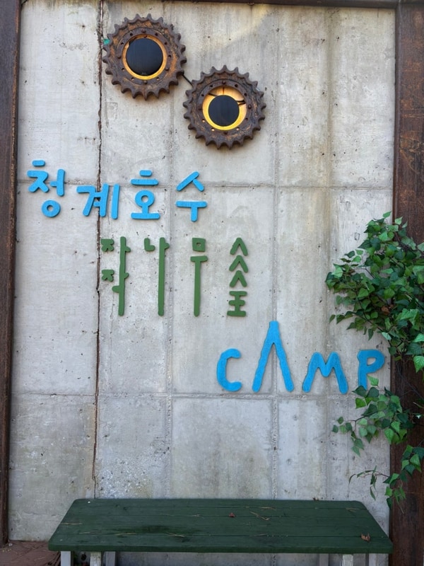 #경기포천 '청계호수 자작나무 숲 캠핑장'