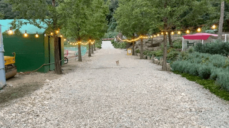 문경 오토캠핑장 리우 캠핑장