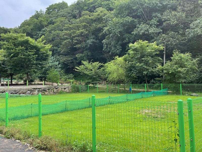 반딧불 캠핑장 시설 사진 27